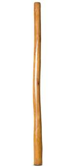 Gloss Finish Didgeridoo (TW1317)